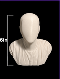 Large size custom bust 6 inches tall (add your own picture)