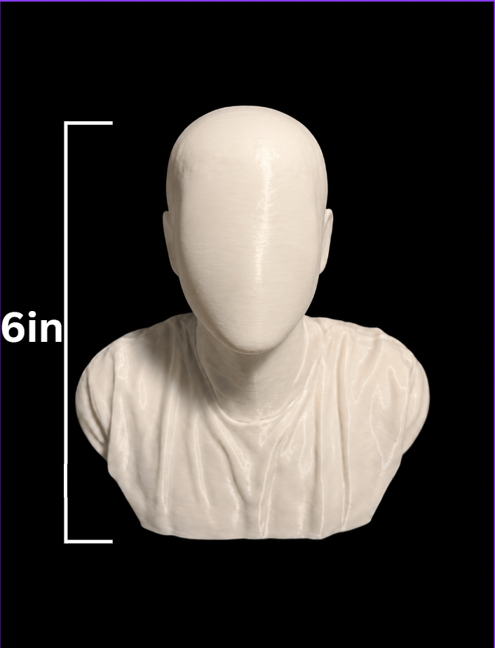 Large size custom bust 6 inches tall (add your own picture)