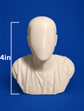 Medium size custom bust 4 inches tall (add your own picture)