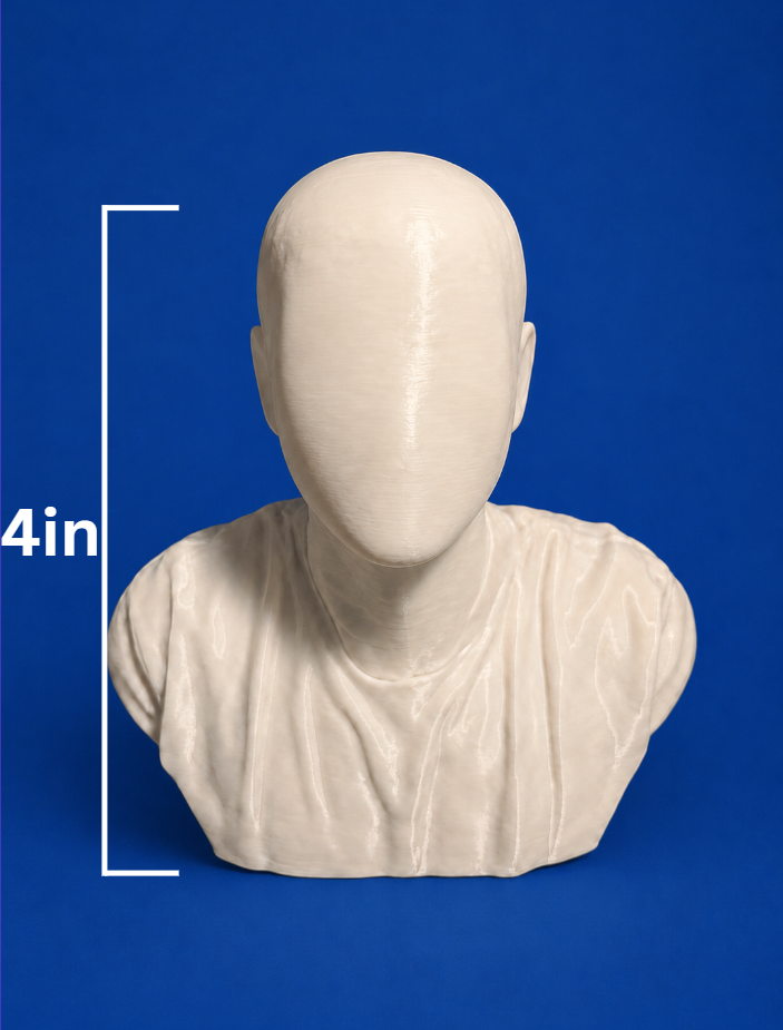 Medium size custom bust 4 inches tall (add your own picture)