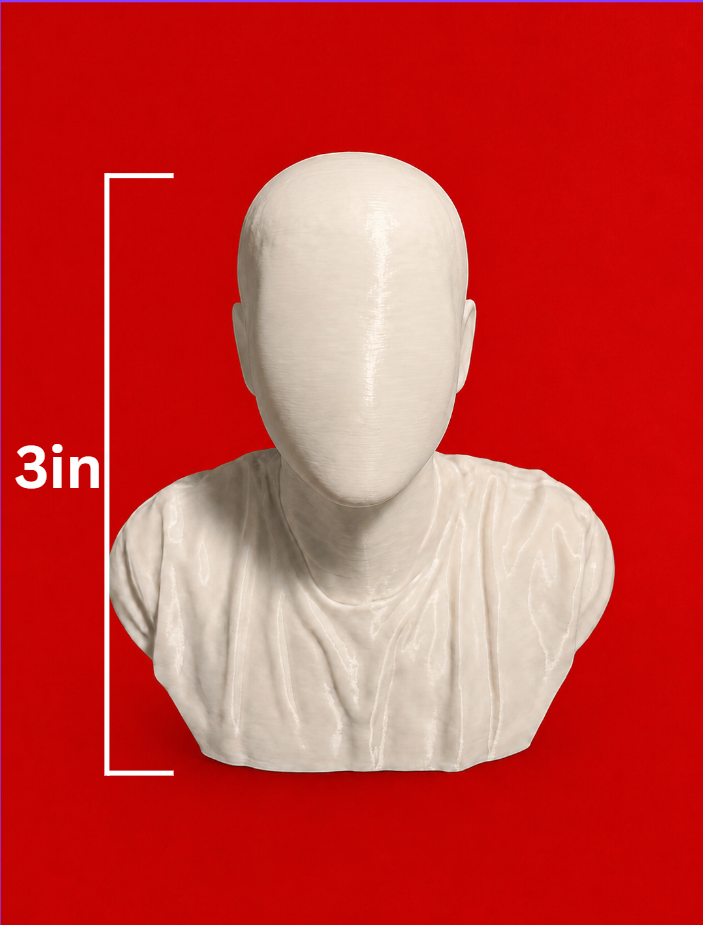 Small sized custom bust 3 inches tall (add your own picture)