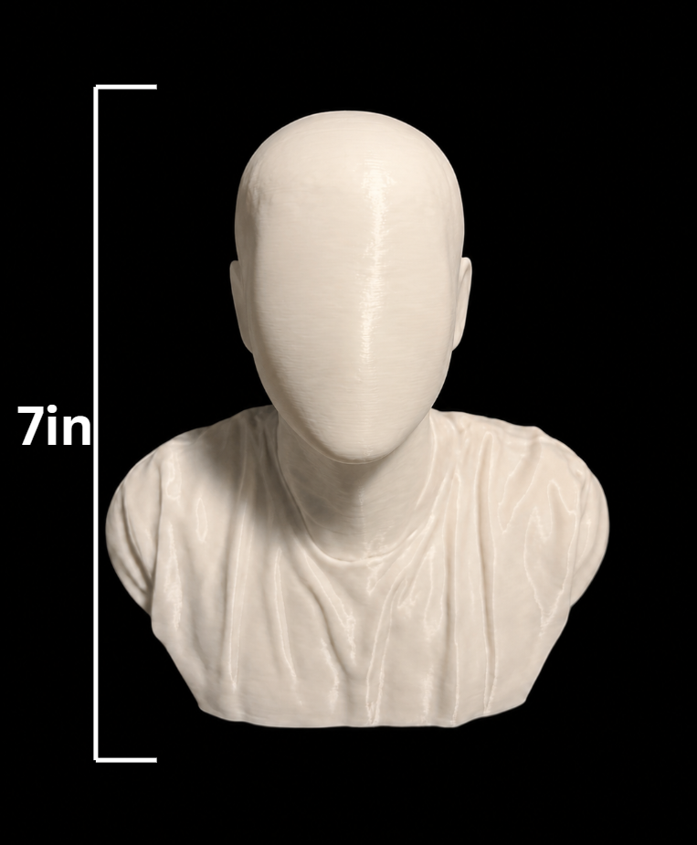 Large size custom bust 7 inches tall (add your own picture)